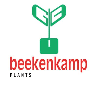 Beekenkamp Logo