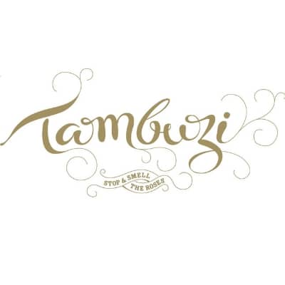 Tambuzi Logo