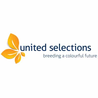 United Selections Logo
